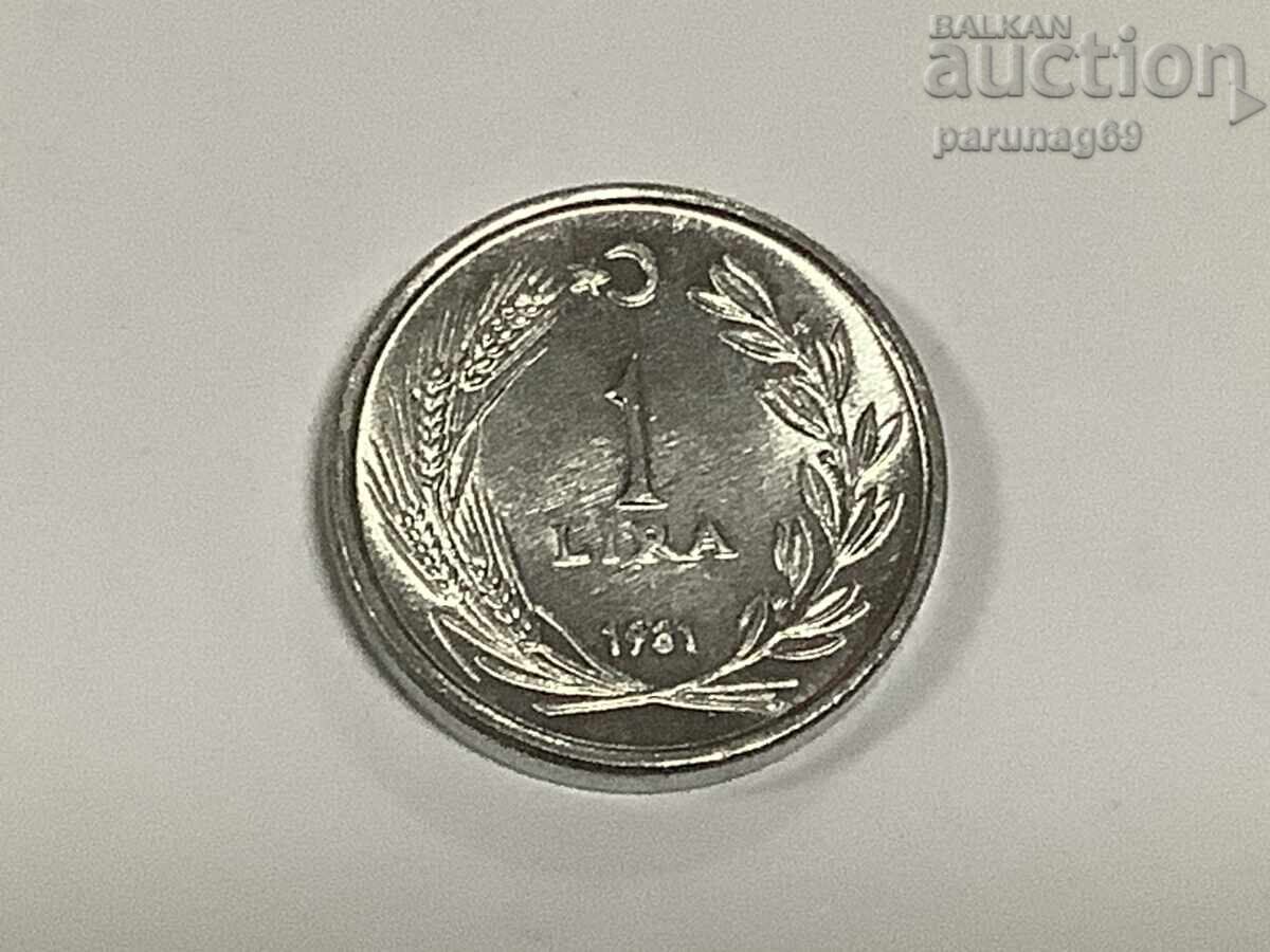 Turkey 1 Lira 1981 (7)