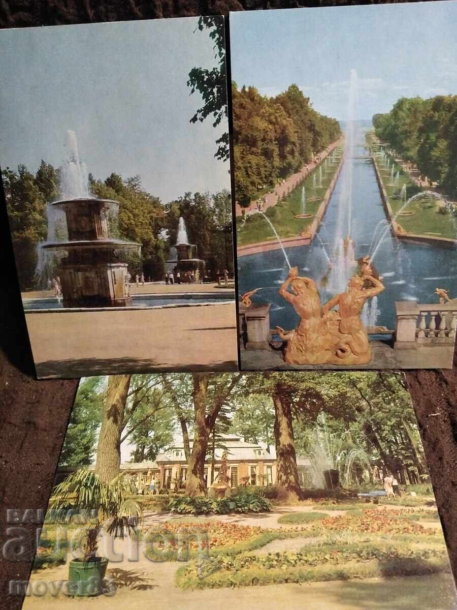 Cărți poștale/Vederi. Peterhof. URSS - 6