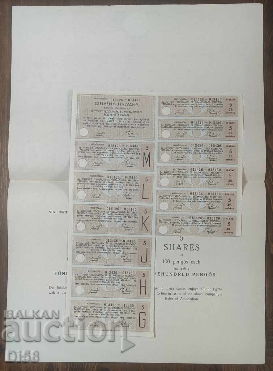 Акция Унгария Дружество За  Лампи И Електричество 1930 с цена € 7.67 | 15.00 лв.