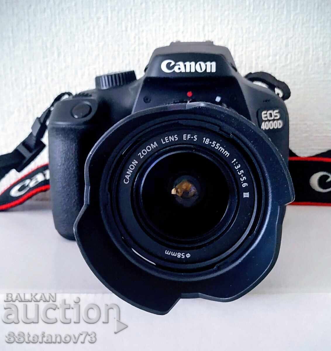 Canon EOS 4000D + EFS 55-250