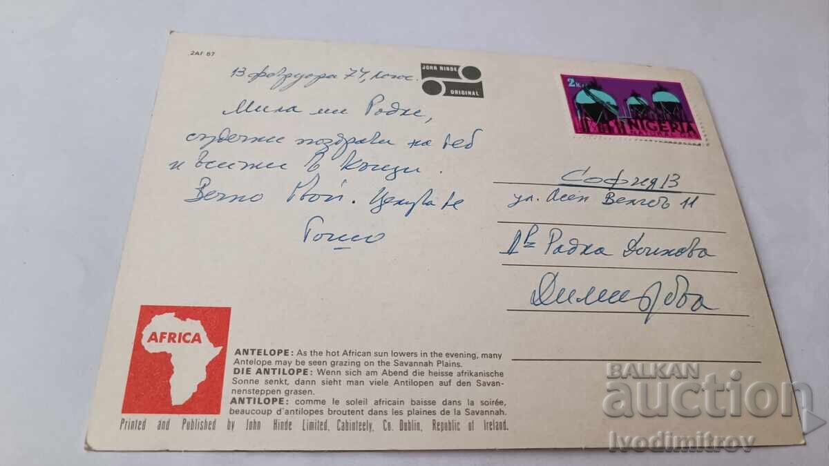 Καρτ ποστάλ Antilope Nigeria 1974 με τιμή € 0.49 | 0.96 BGN Καρτ ποστάλ Antilope Nigeria 1974 με τιμή € 0.49 | 0.96 BGN