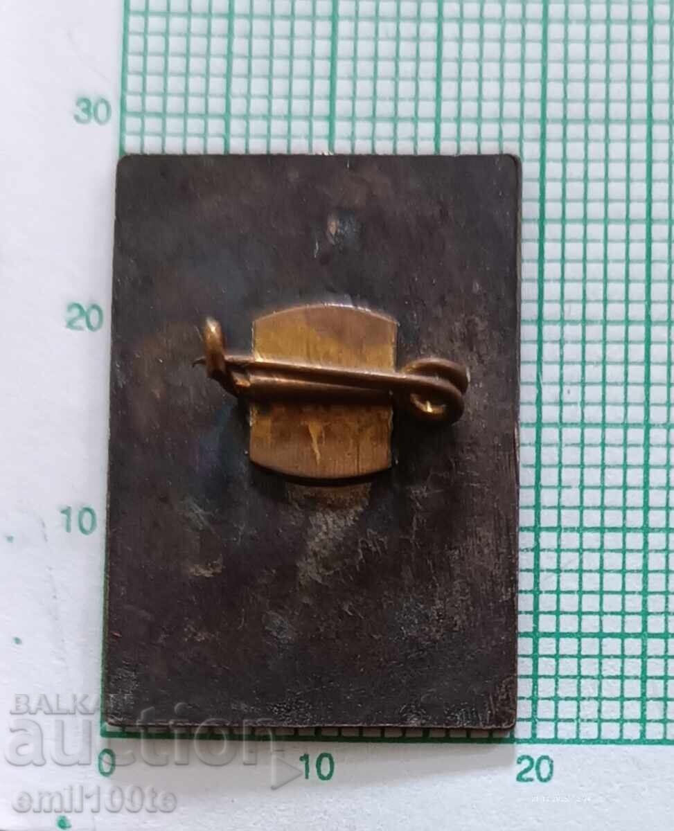 Delivery of Badge - BMT Bureau for Youth Tourism Orbita Veliko Tarnovo