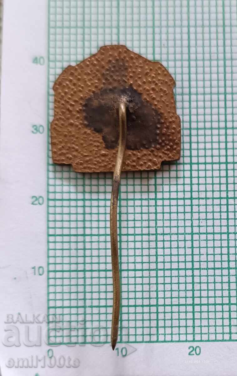 Доставка на Значка- 20 години ДМП Чипровци Доставка на Значка- 20 години ДМП Чипровци