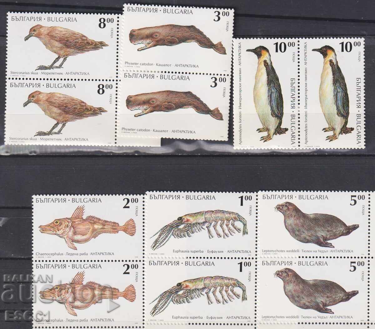 Timbre curate Fauna Specii Arctice 1995 din Bulgaria