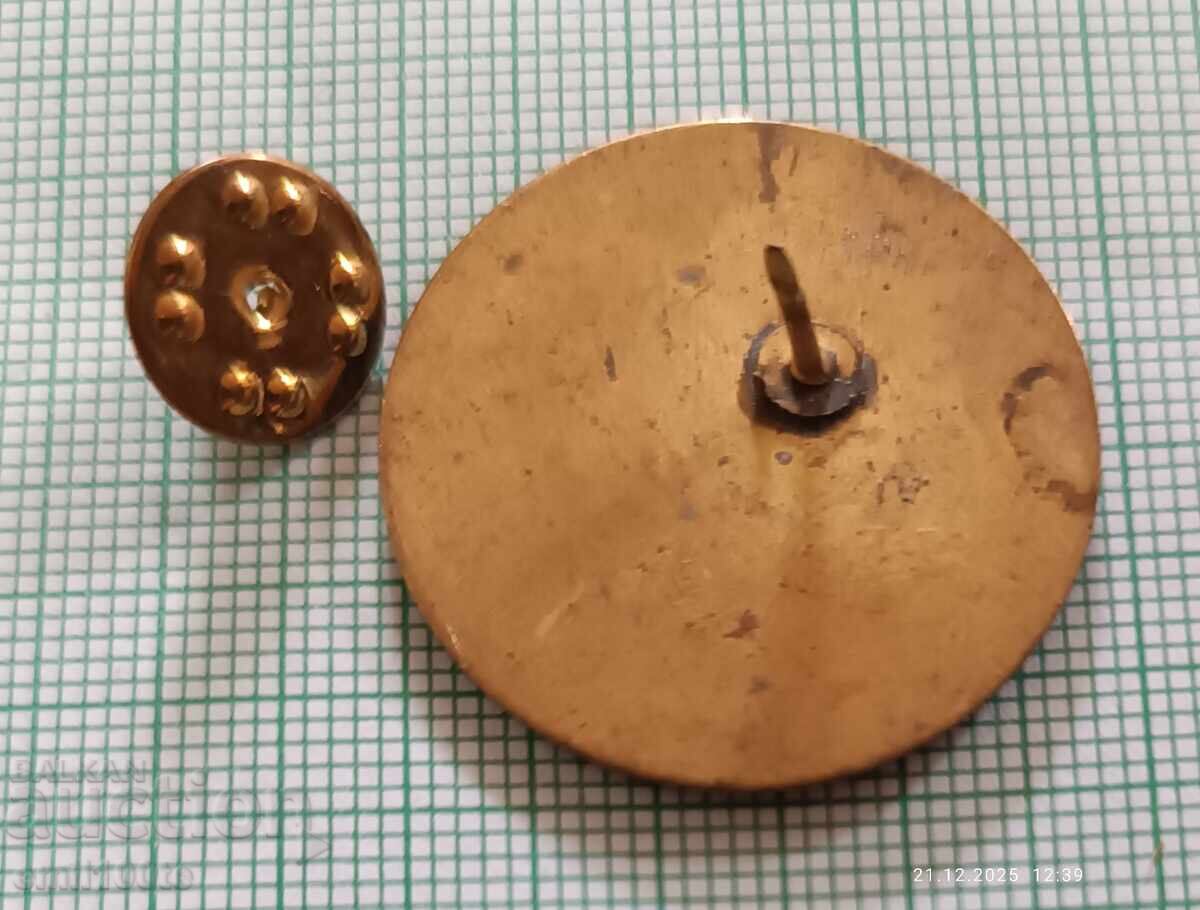 Emblemă - 20 de ani Complexul Educațional Gianni Rodari - 5