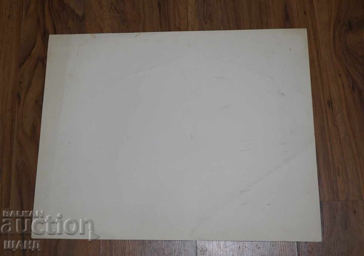 Доставка на 1977 Данаил Дечев репродукция на картина пролетна градина