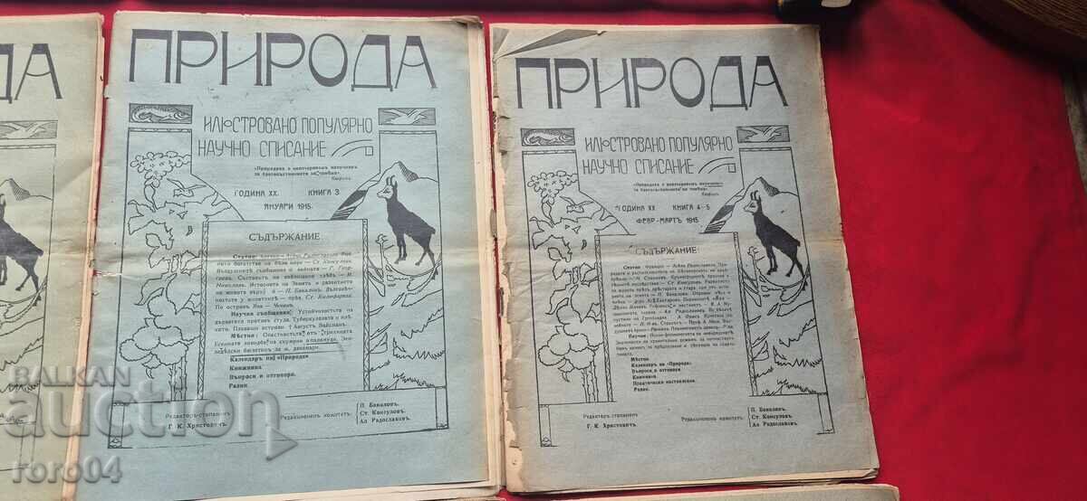 Licitație NATURA - Anul XX, CARTEA 1 / 10 - 1914