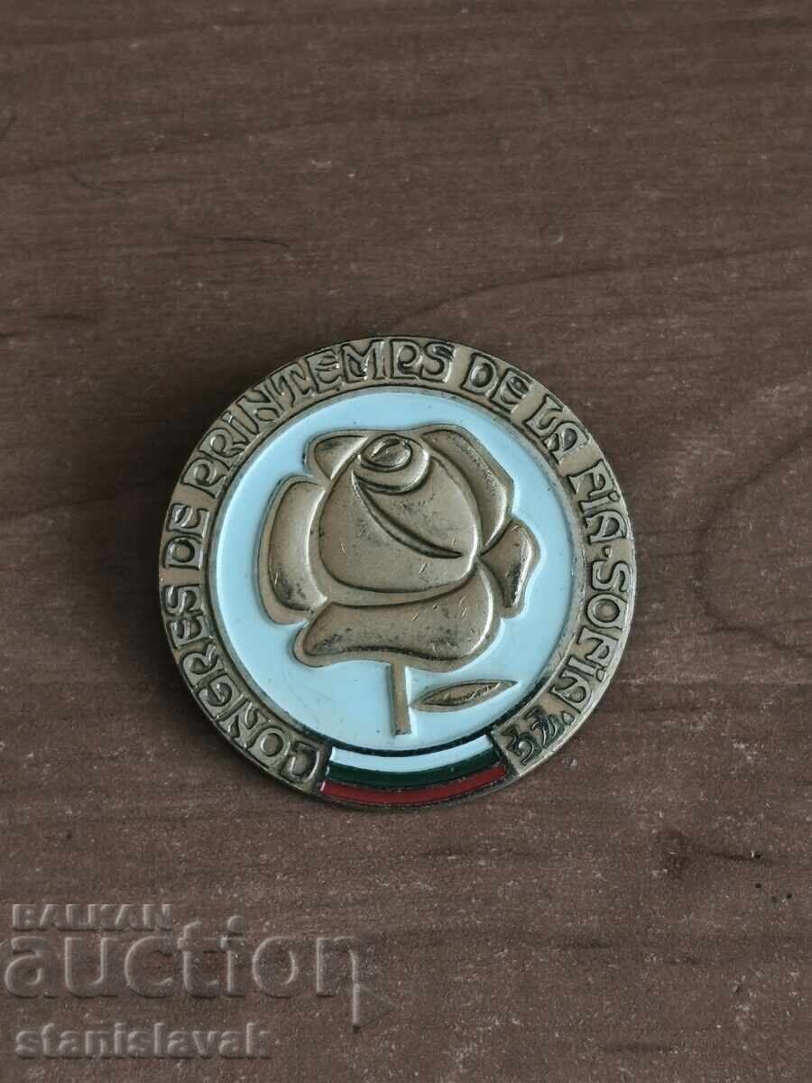 Bronze enamel badge Bronze enamel badge
