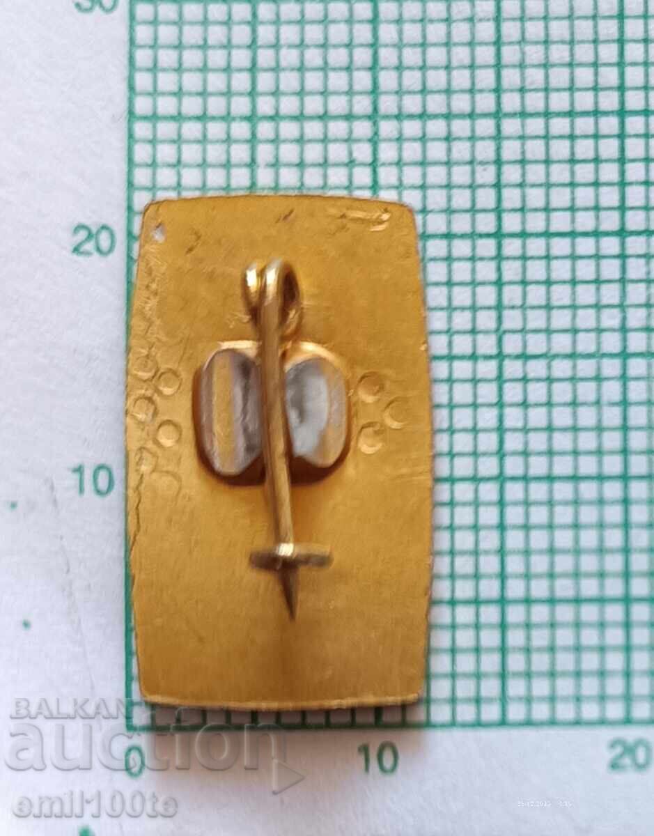 Delivery of Badge - Dame Gruev Delivery of Badge - Dame Gruev