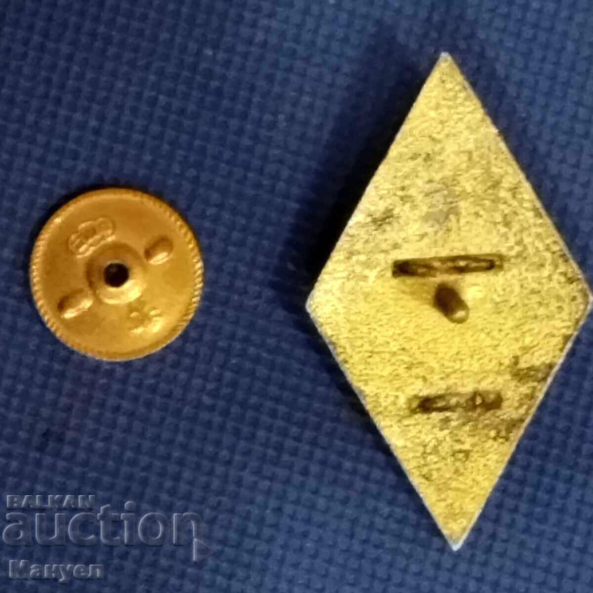 Auction  Rhombus "NUTO", military badge, silver, very rare