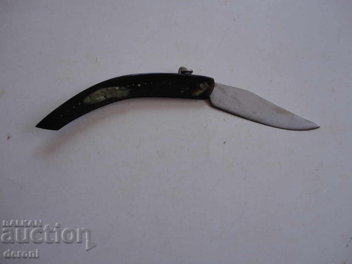 Auction  Jay knife buffalo horn