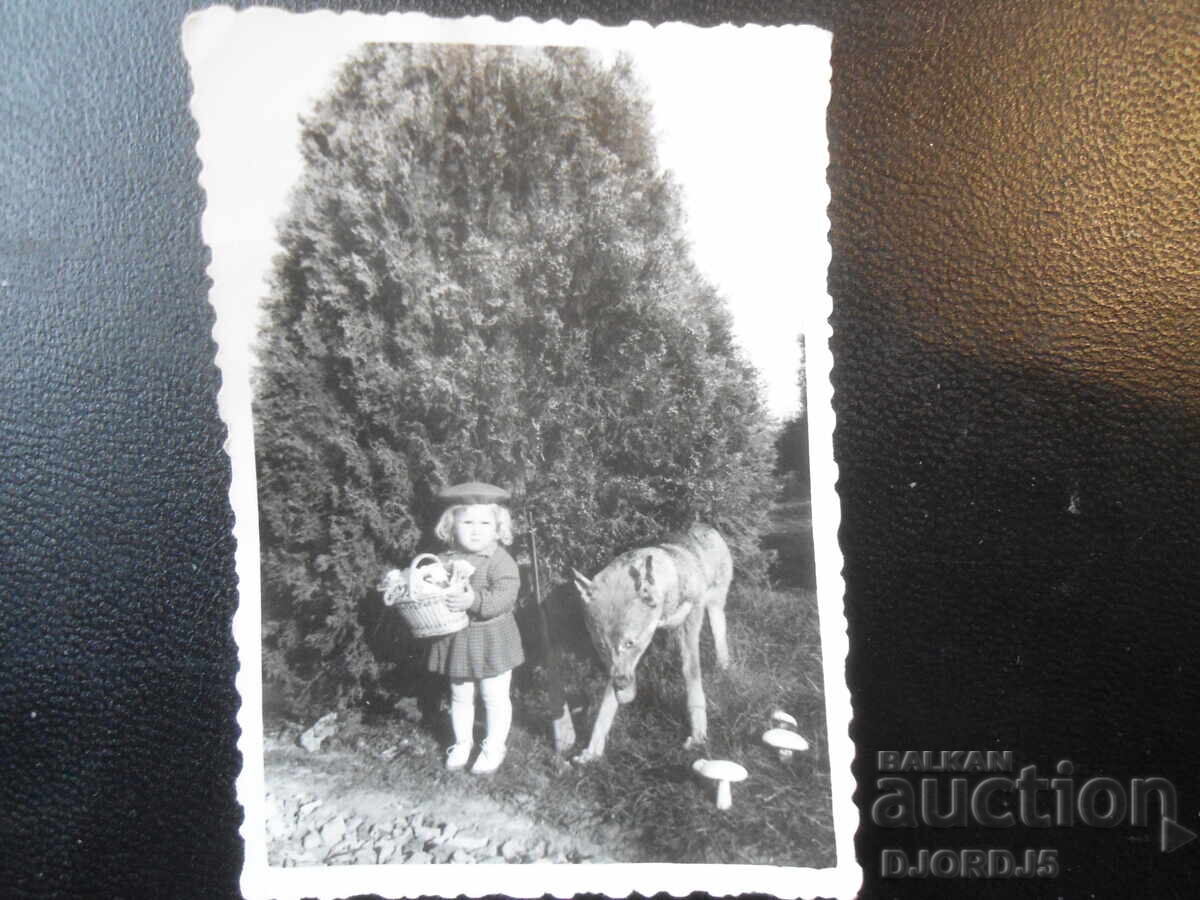 παλιά φωτογραφία