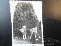 παλιά φωτογραφία