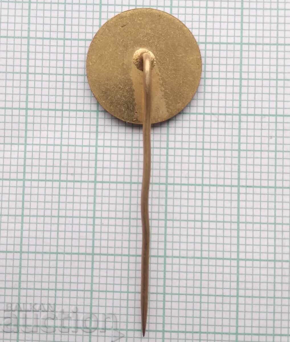 Auction 19281 Badges - Ice Hockey Auction 19281 Badges - Ice Hockey