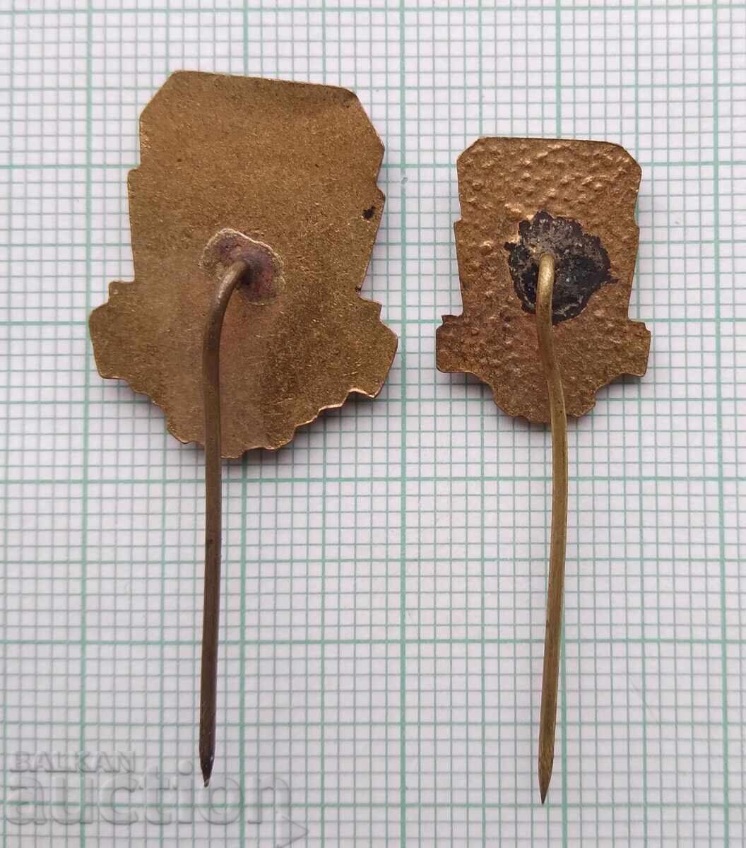 Аукцион 19286 Значка - БСФС - ЛОТ 2 бр.