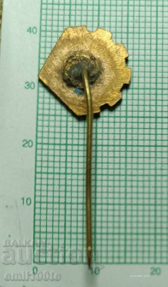 Значка- 25 години ИИР - 5 Значка- 25 години ИИР - 5