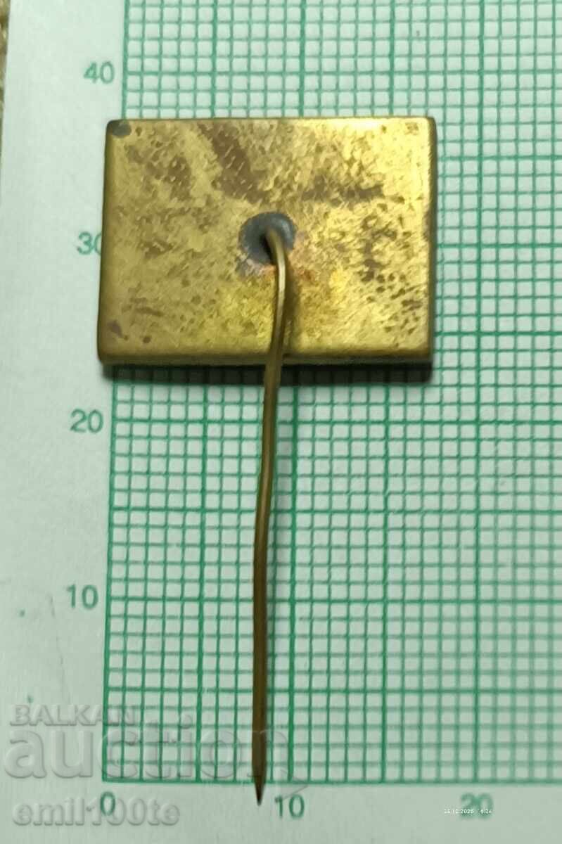 Значка- Пътпроект - 5 Значка- Пътпроект - 5