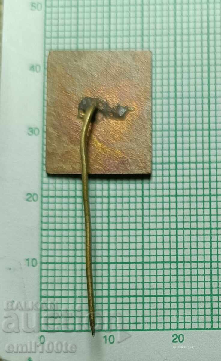 Insigna - Agromașinaimpex Bulgaria - 5