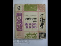 Изворче на жива вода - Трайко Симеонов