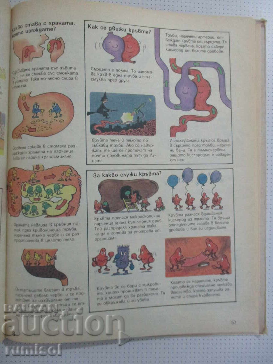 Children's Encyclopedia - Jane Eliot, Colin King - 6 Children's Encyclopedia - Jane Eliot, Colin King - 6