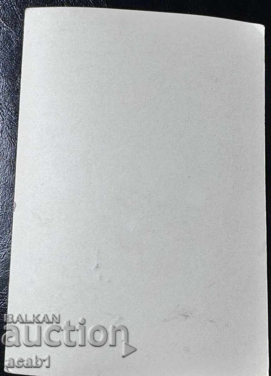 Ilyo Voyvoda - Ilyo Markov Maleshevski with price € 5.11 | 9.99 BGN