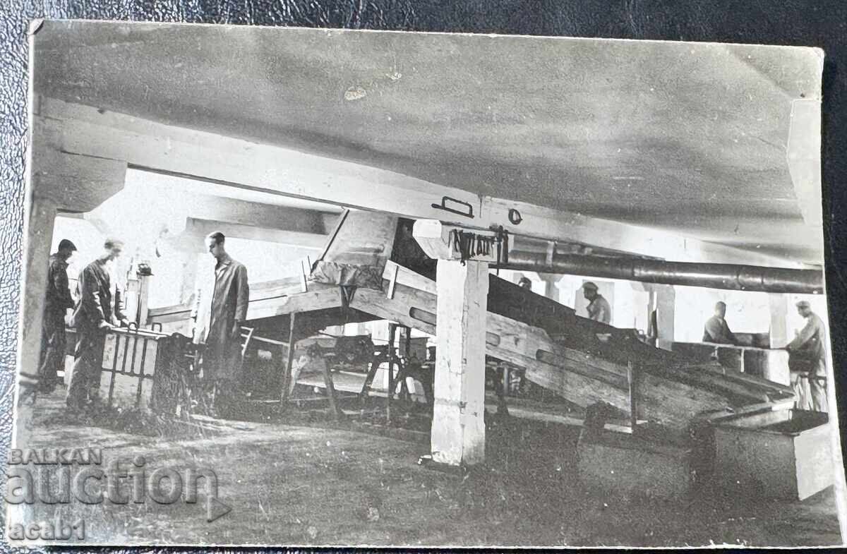 Depozit de tutun 1937 Depozit de tutun 1937