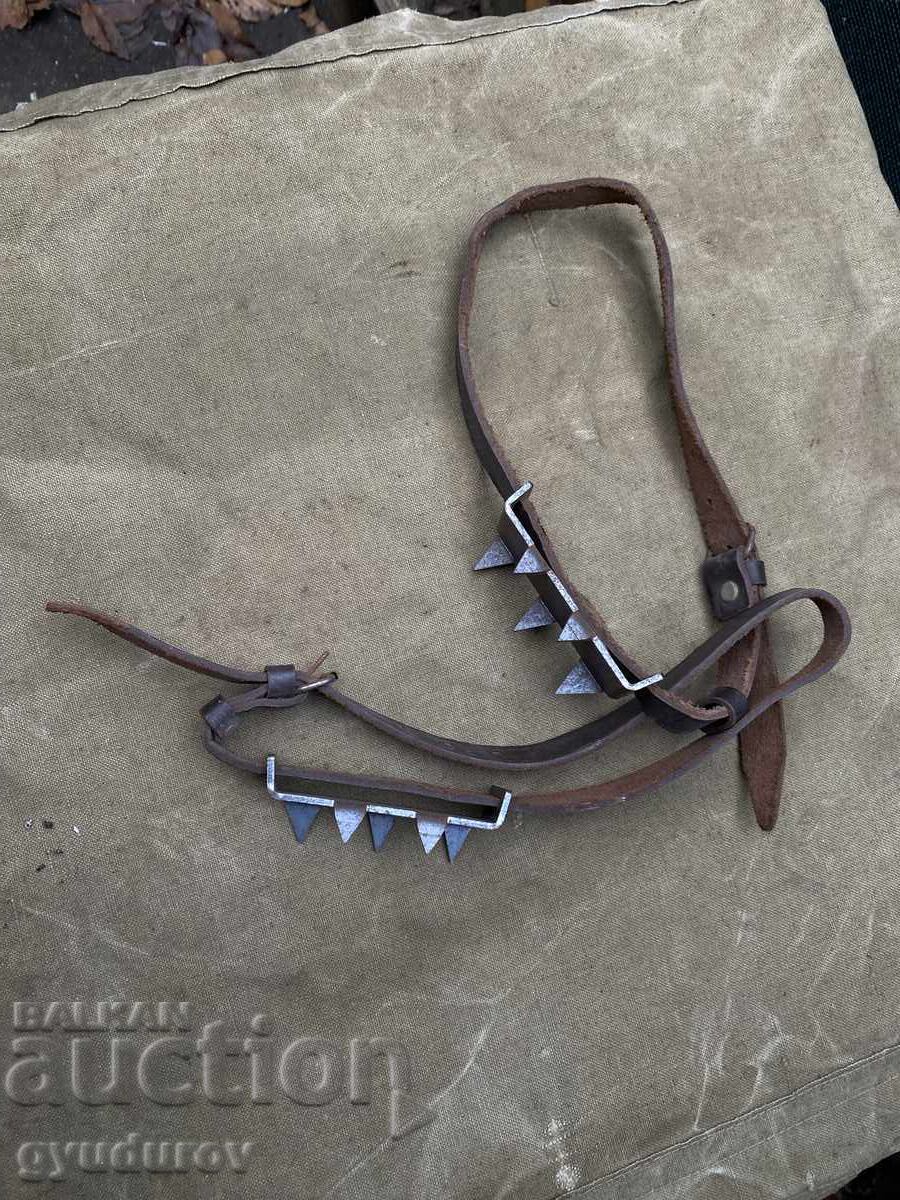 "Pisici" cu preț € 5.11 | 9.99 BGN "Pisici" cu preț € 5.11 | 9.99 BGN