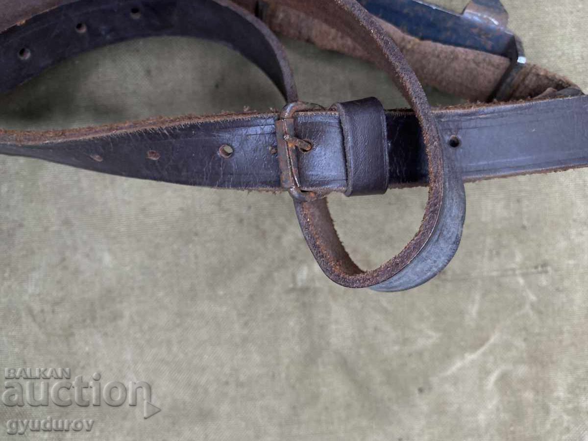 Licitație "Pisici" Licitație "Pisici"