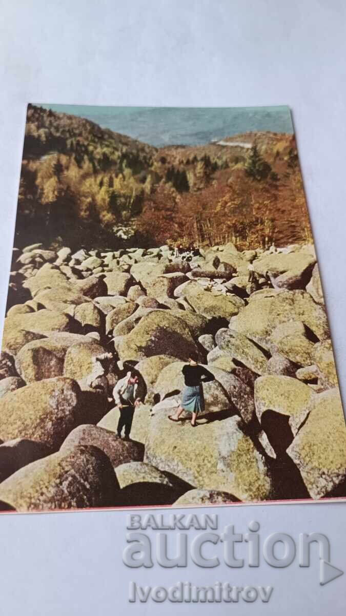 Ευχετήρια κάρτα Βίτοσα Χρυσές Γέφυρες