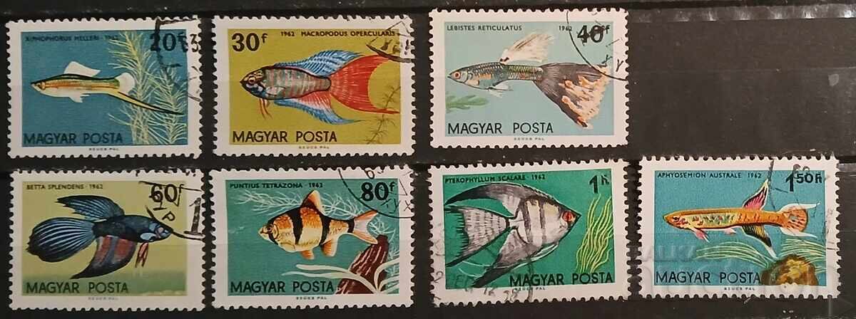 Hungary 1962 Fauna/Fish Hungary 1962 Fauna/Fish