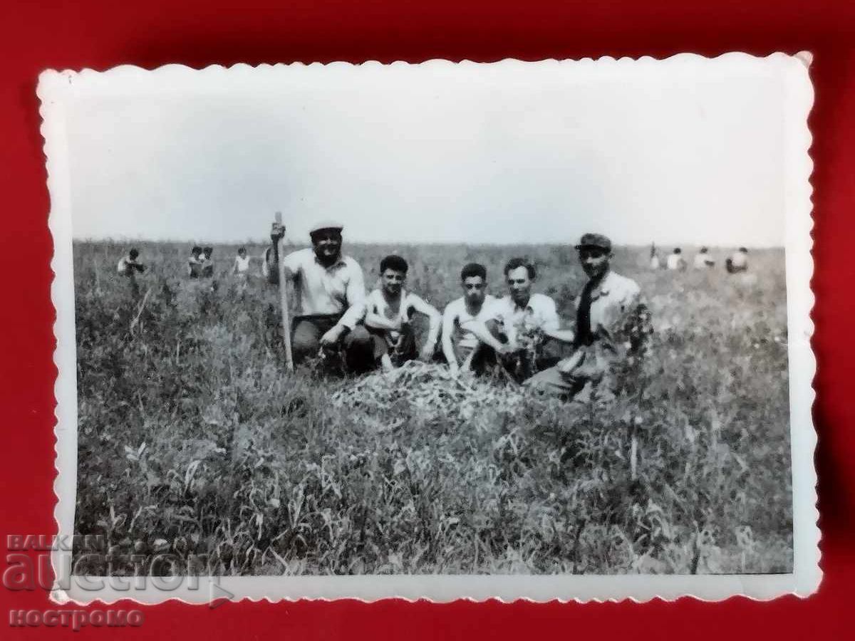 Fotografie veche - A 6241