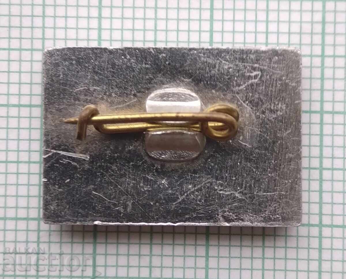 Auction  19291 Badges - Ski Race Sofia 1985