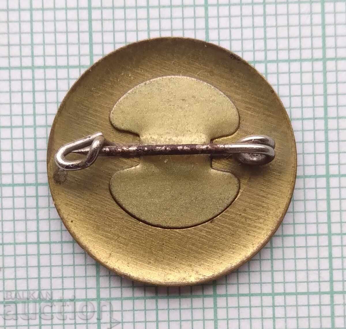 Аукцион 19294 Дружество за физическата култура и спорт Камено