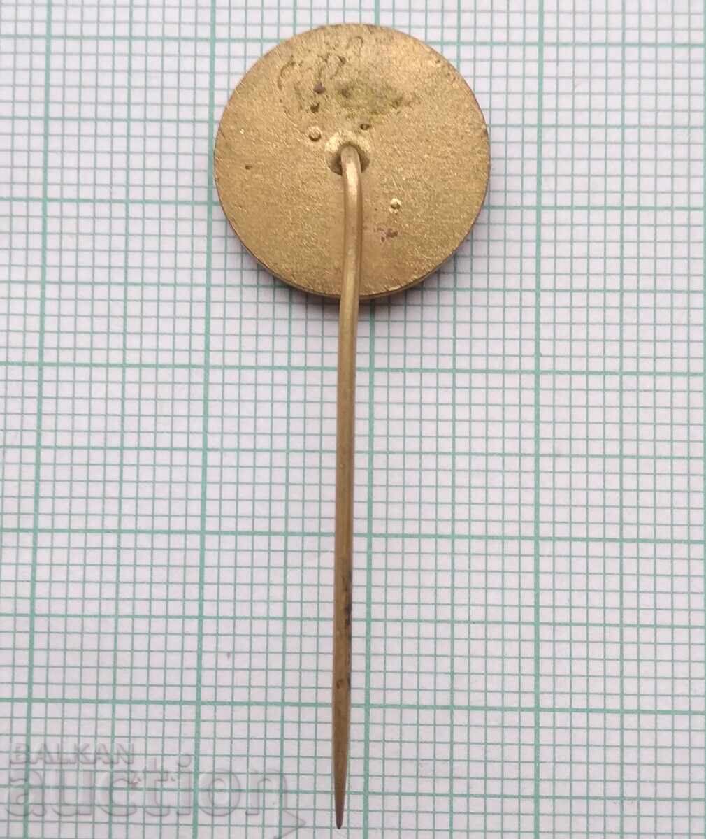 Auction  19295 Badge - District Champion 1975 - Czechoslovakia