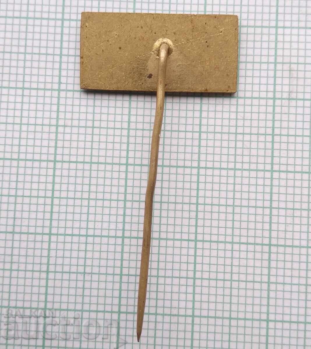 Auction  19298 Badges - Emerson Fittipaldi from 1974 Formula 1