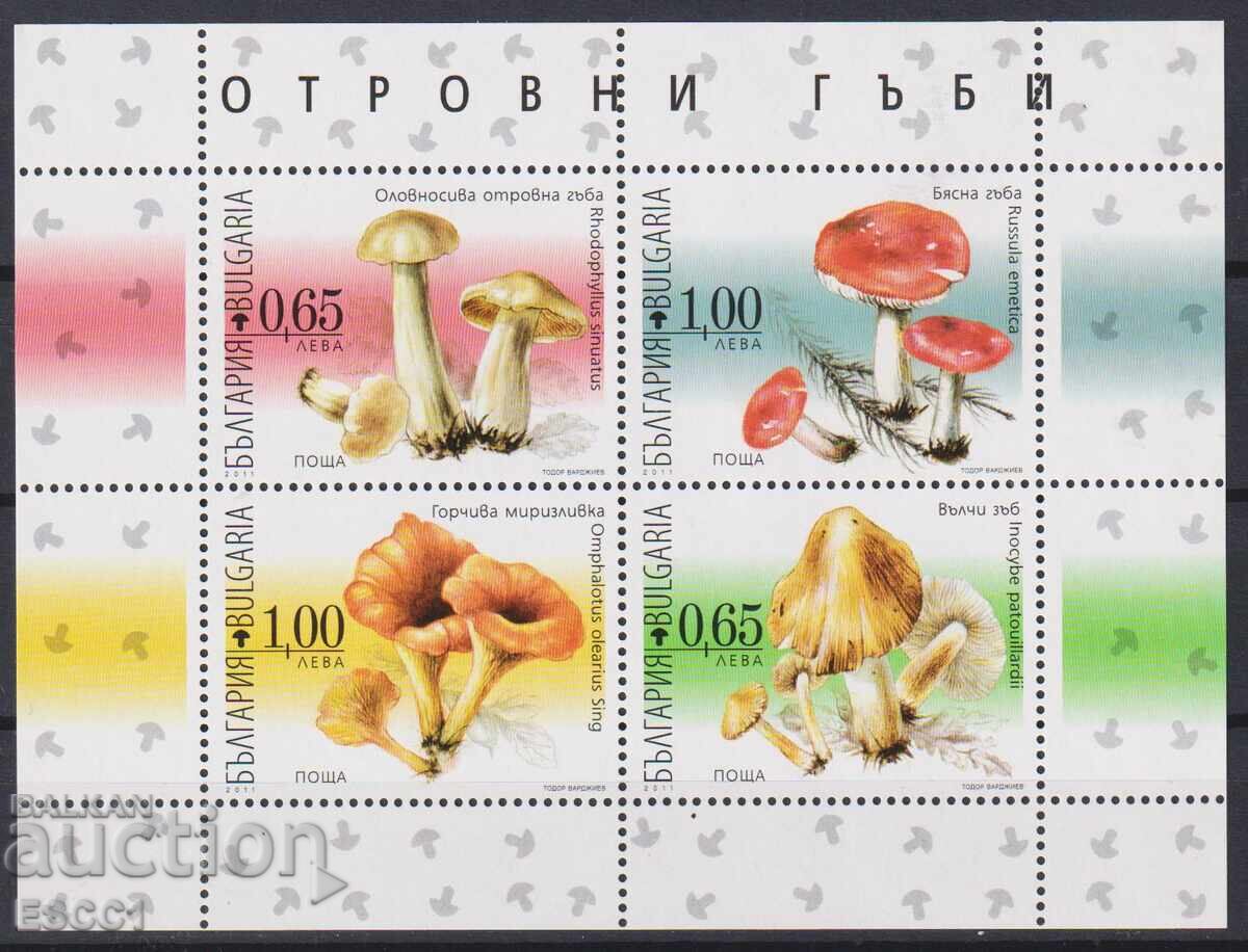 Clean stamps in a small sheet Flora Poisonous Mushrooms 2011 from Bulgaria