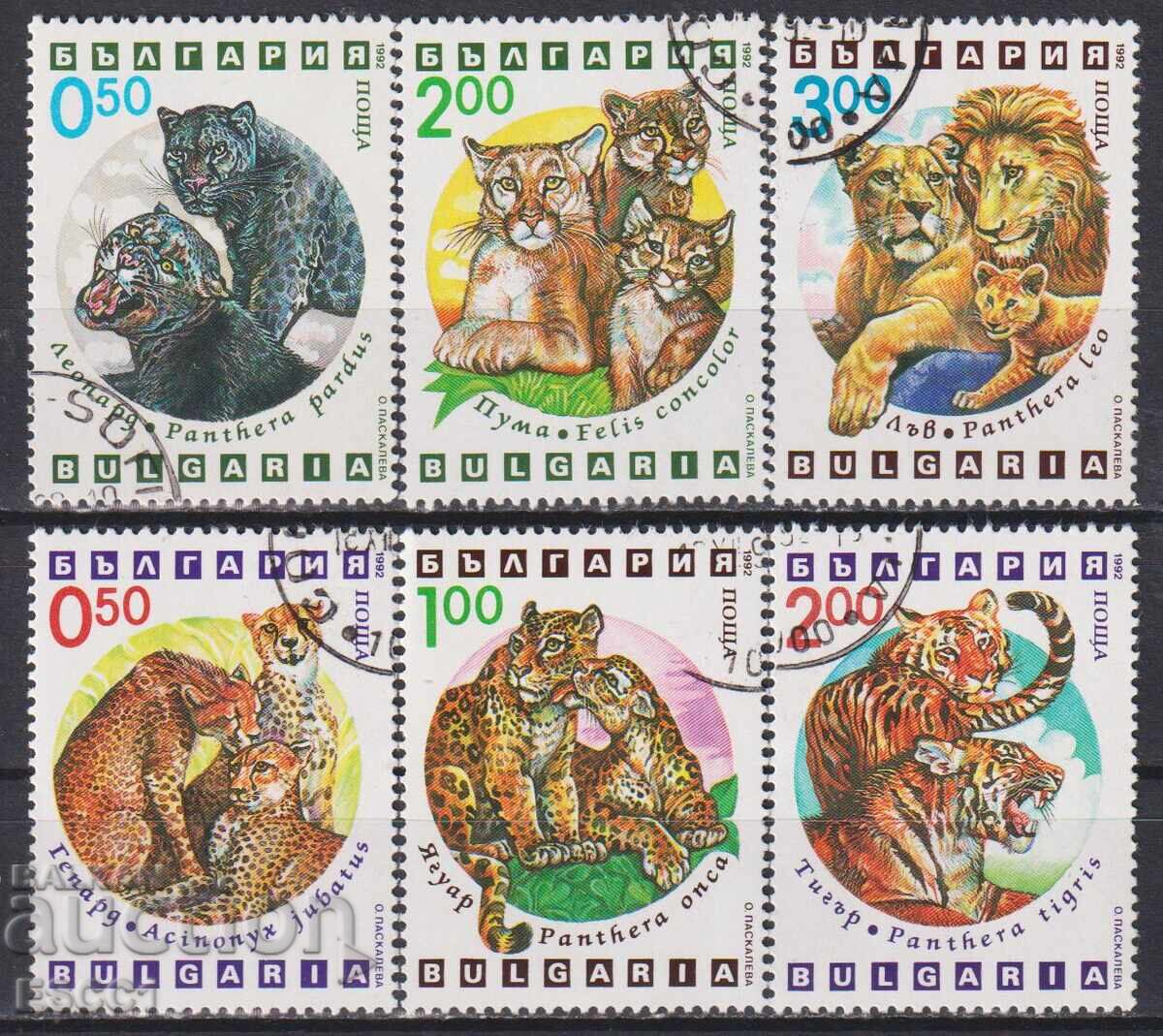 Επωνυμίες γραμματοσήμων Fauna Exotic Predators Cats 1992 Βουλγαρία