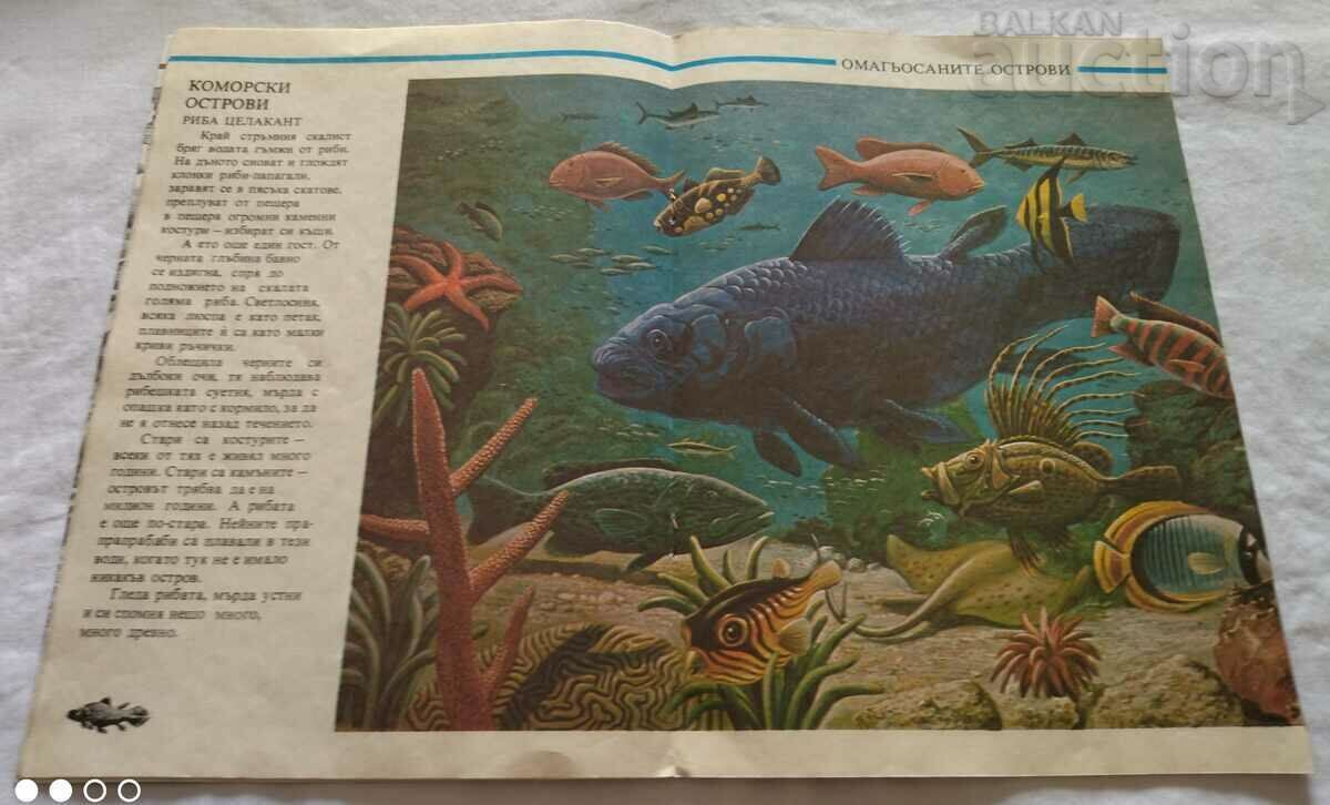 THE ENCHANTED ISLANDS Svyatoslav Sakharnov - 5