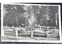 Вършец Водоскока в парка