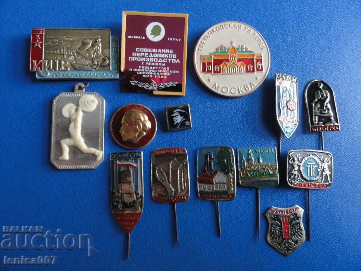 Licitație Insigne (14 bucăți)