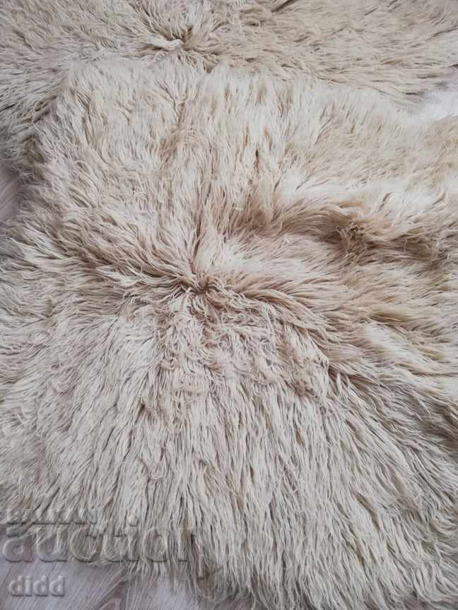 Kitenik - 7 Kitenik - 7