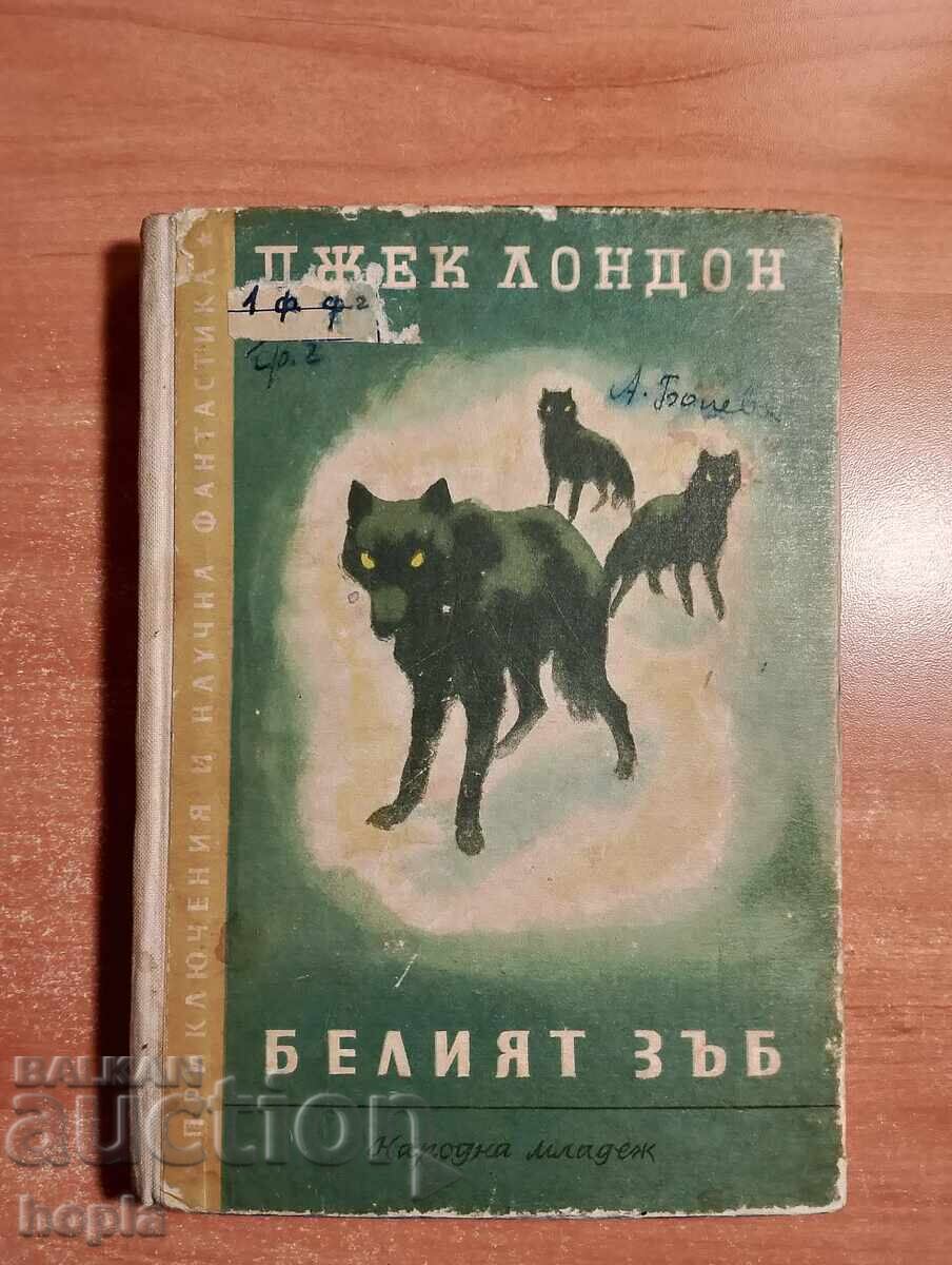 Jack London WHITE FANG 1956