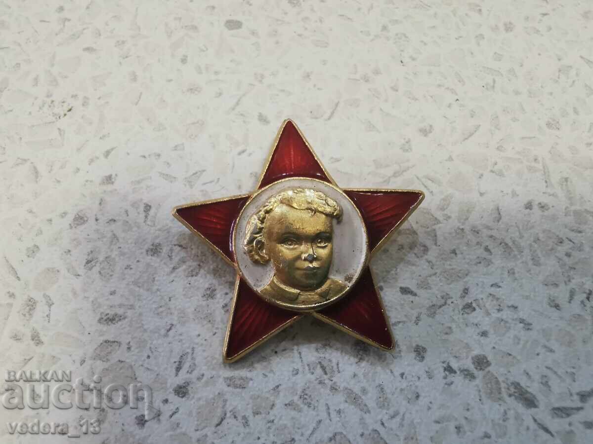 ЗНАЧКА ЗНАЧКА