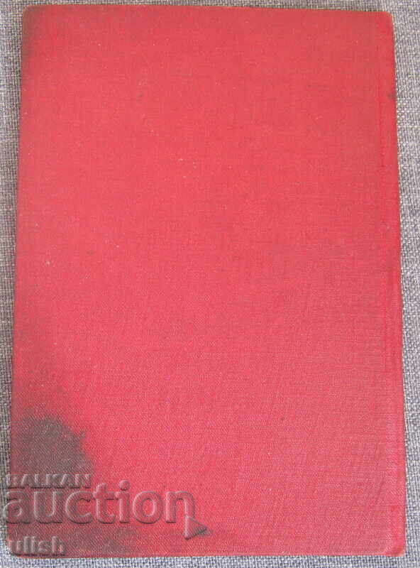 DZI Narodna Insurance insurance policy - 5