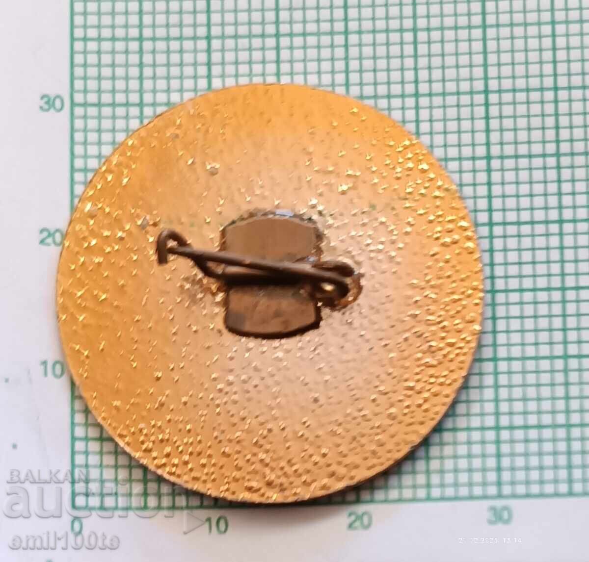 Значка- Салют Победа - 5