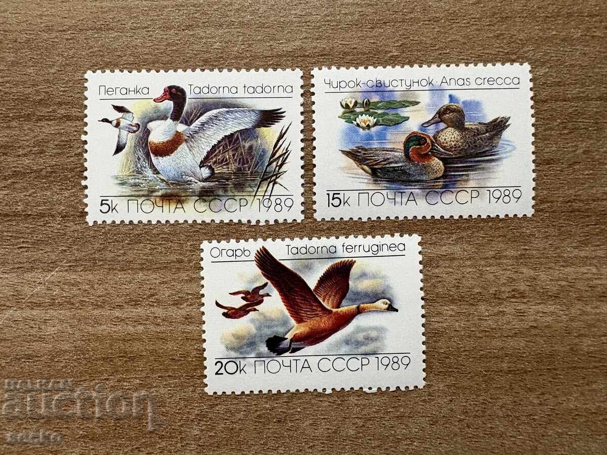 URSS - Rațe (1989) MNH