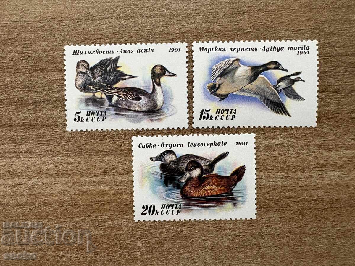 URSS - Rațe (1991) MNH URSS - Rațe (1991) MNH