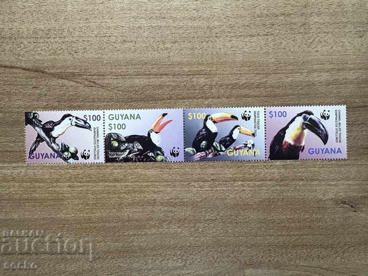 Guyana - Endangered Species - Toucan (1972) MNH