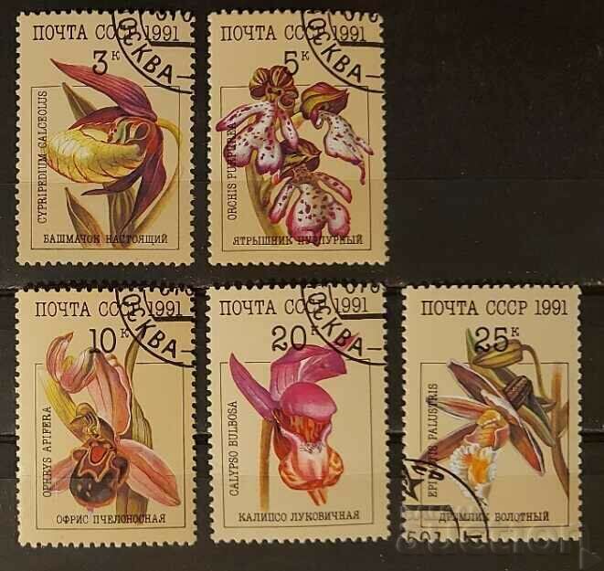 URSS 1991 Flora/Flori Orhidee Kleimo