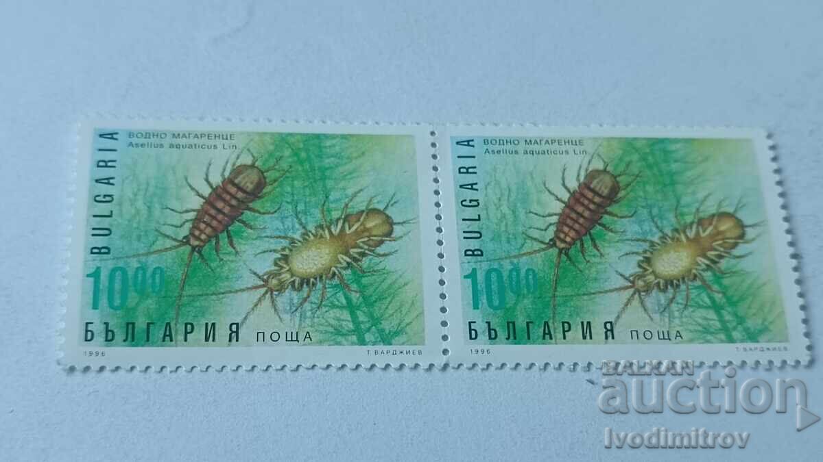 Γραμματόσημα Δημοκρατίας της Βουλγαρίας Υδροχοίρος